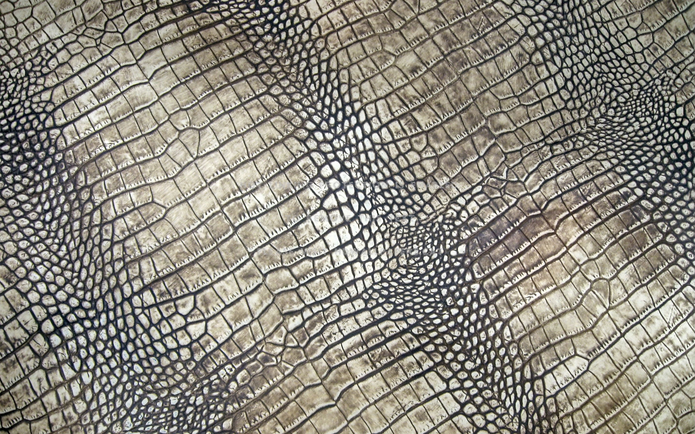 crocodile skin texture macro abstract