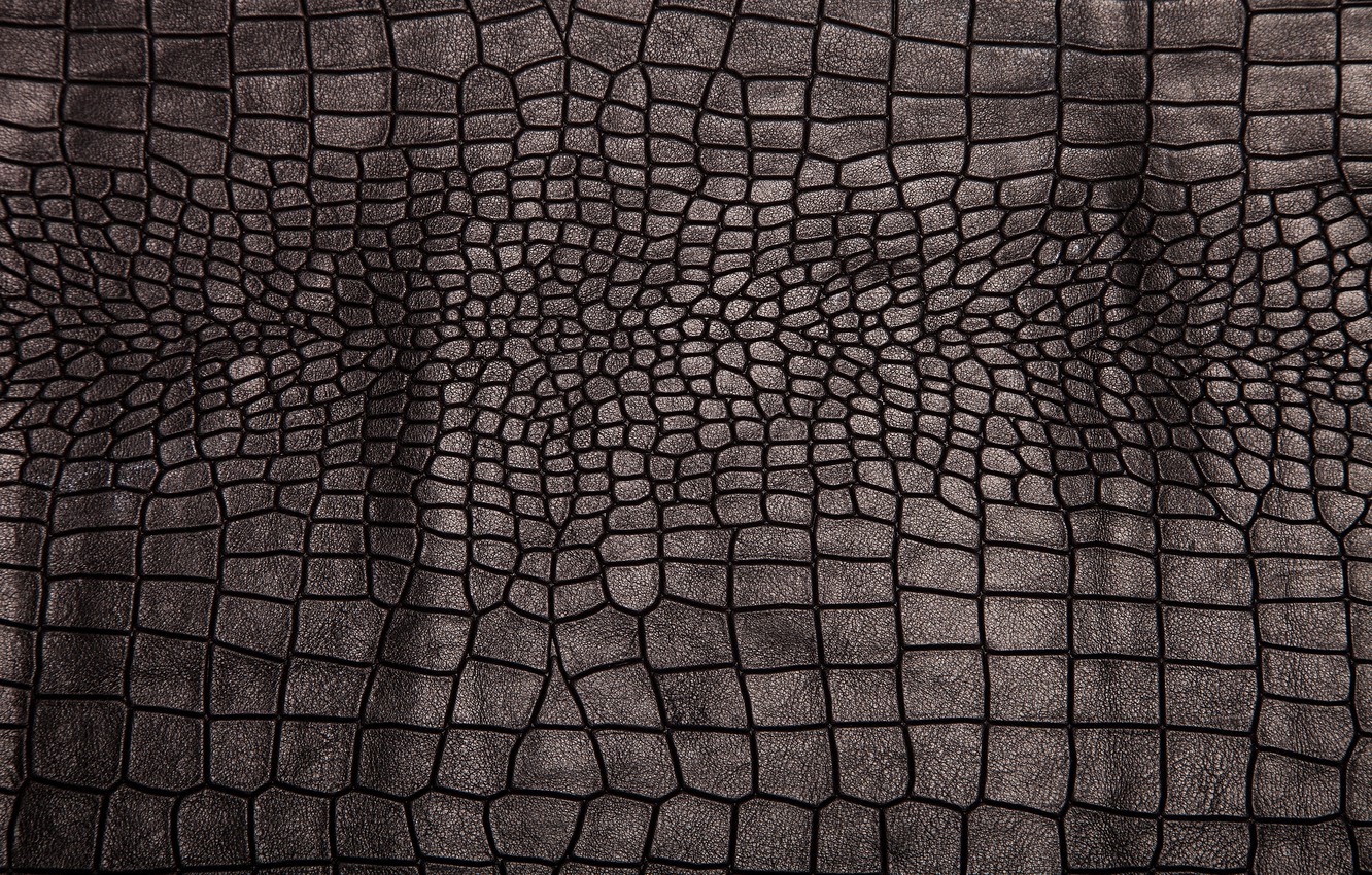 Crocodile Skin Wallpapers - Wallpaper Cave