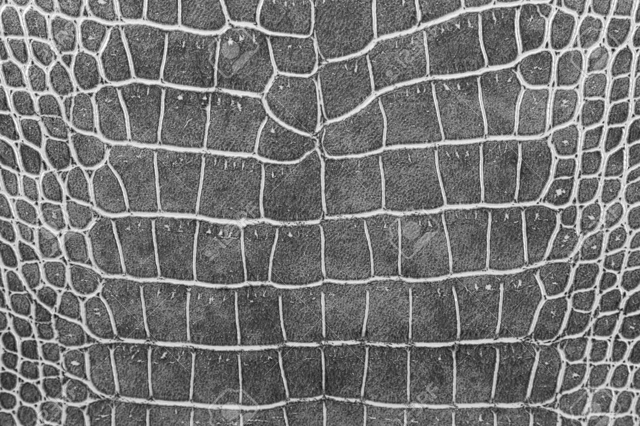 Free Crocodile Skin Wallpaper, Crocodile Skin Wallpaper Download