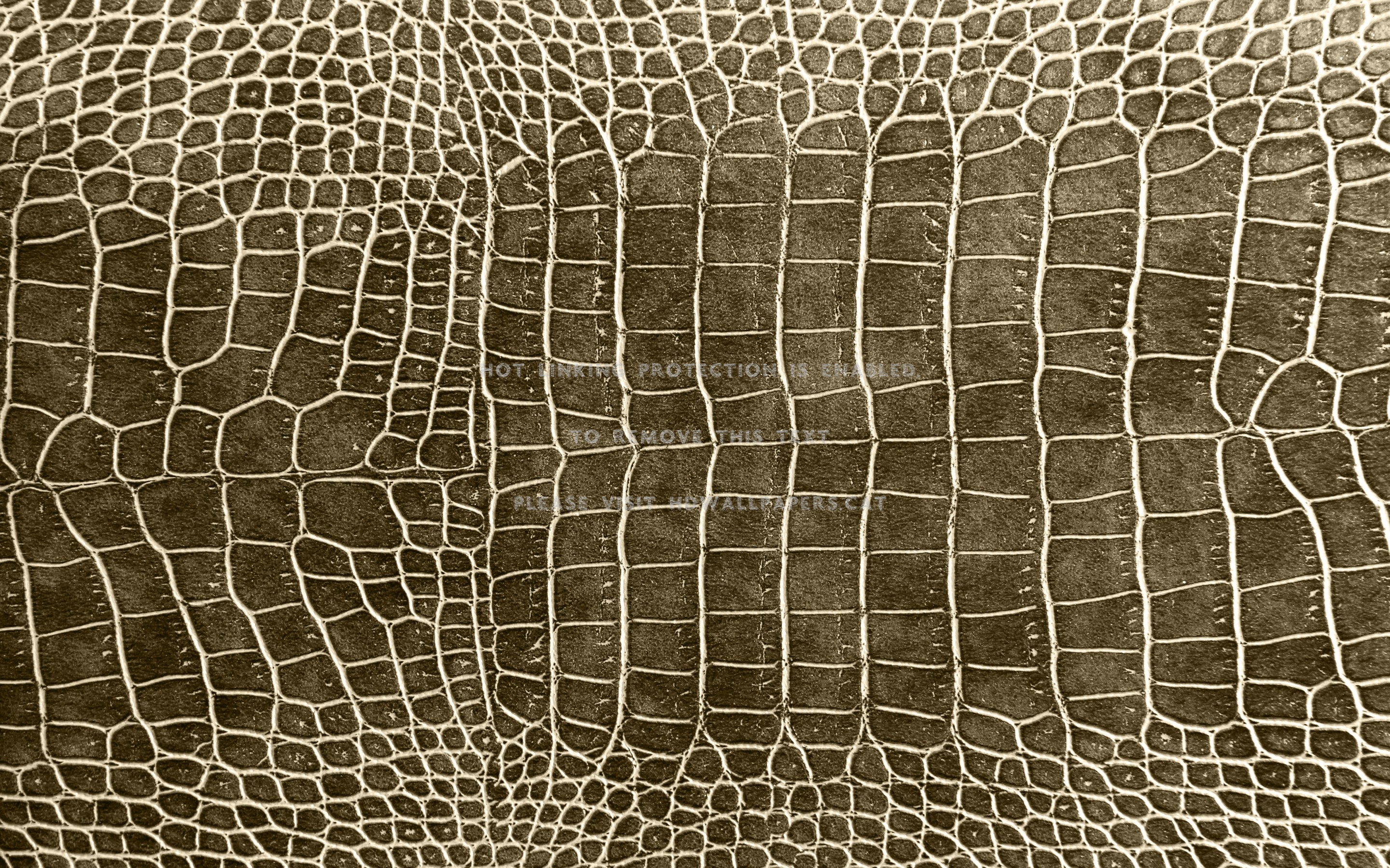 crocodile skin texture macro abstract