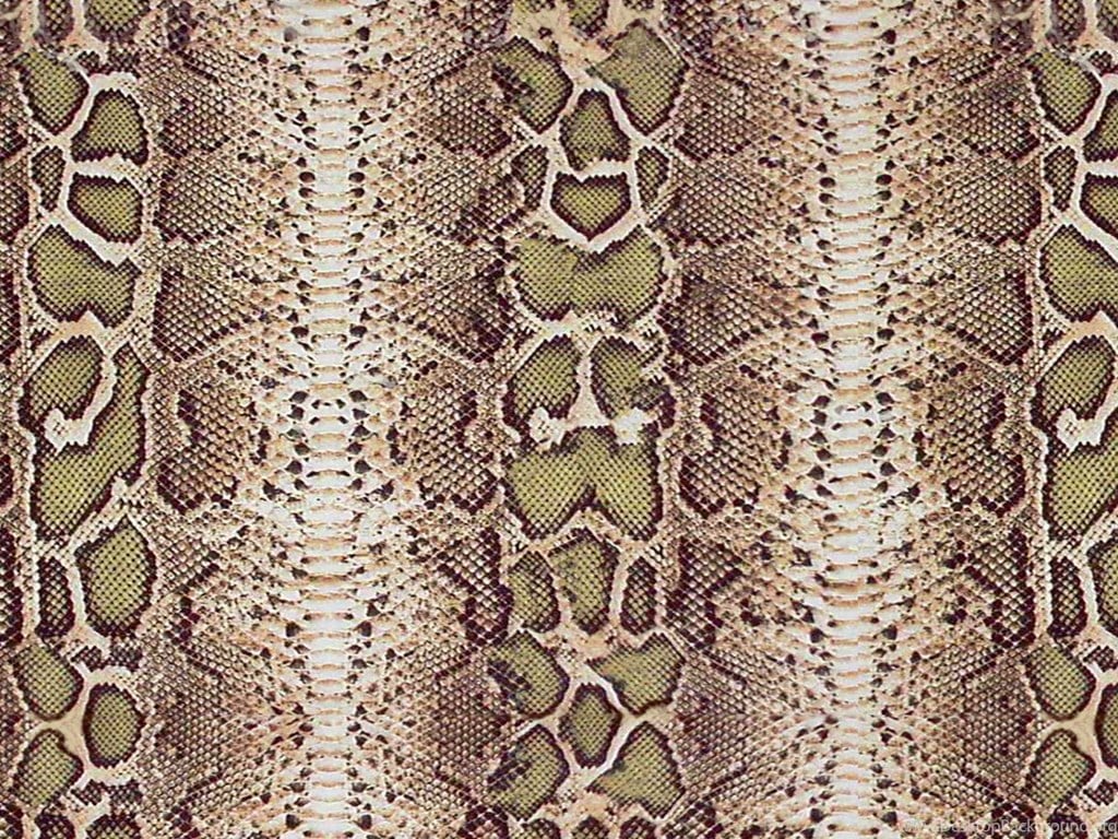 Wallpaper Snake Skin Free Snakeskin Crocodile And Alligator. Desktop Background