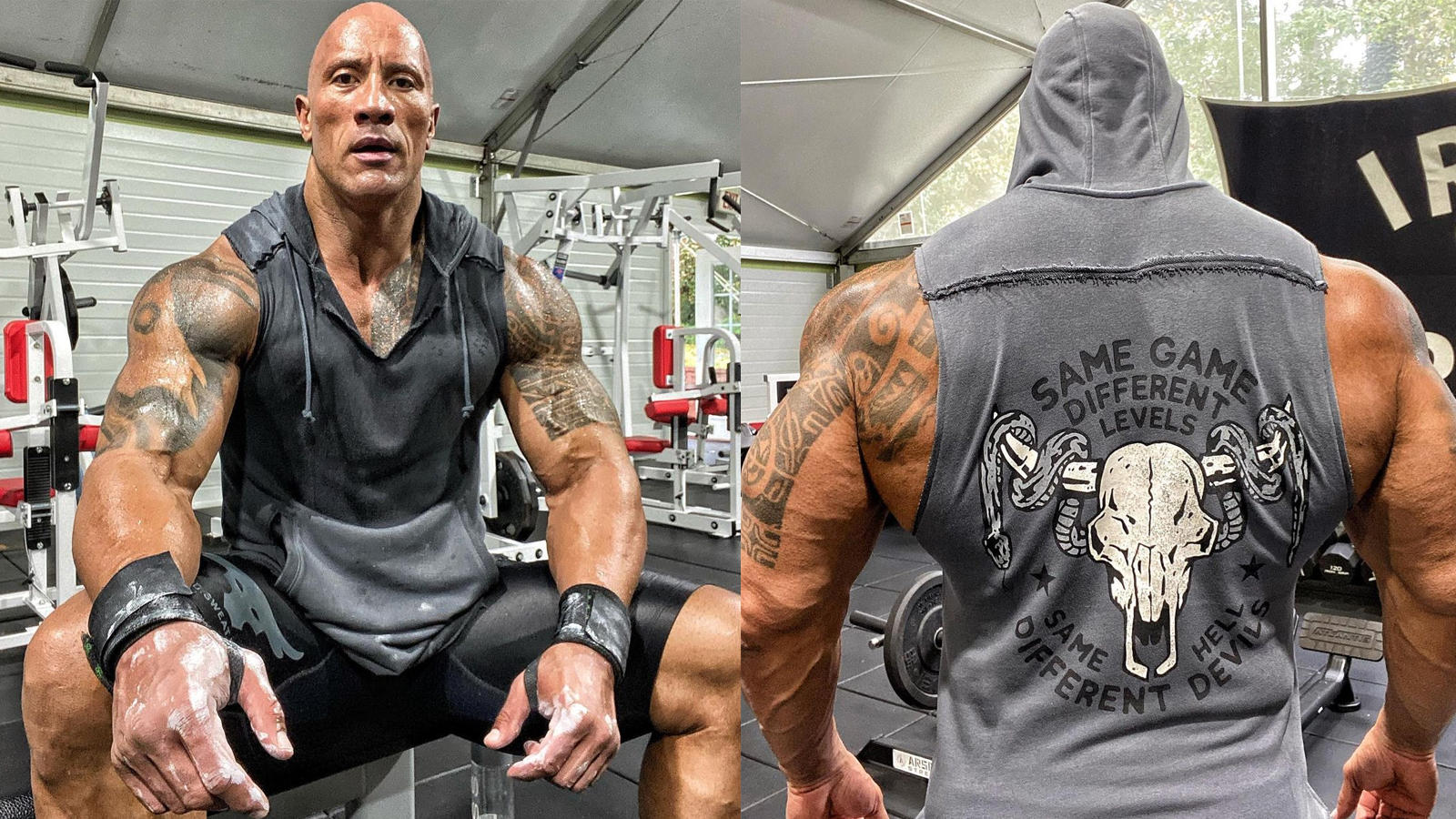 Dwayne Johnson aka 'The Rock' shares pics from his gym, fan says 'That's not the rock, it's a boulder'. English Movie News of India