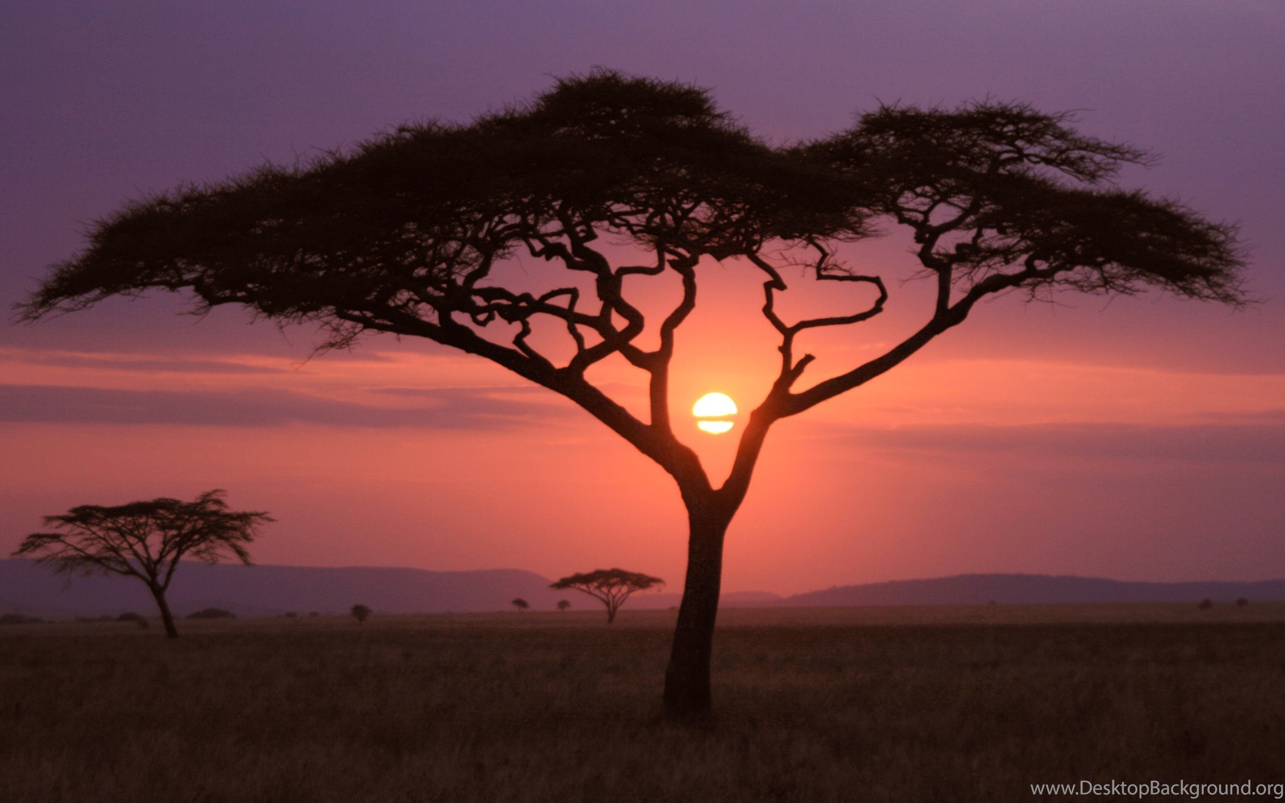 African Sunset Wallpaper Desktop Background