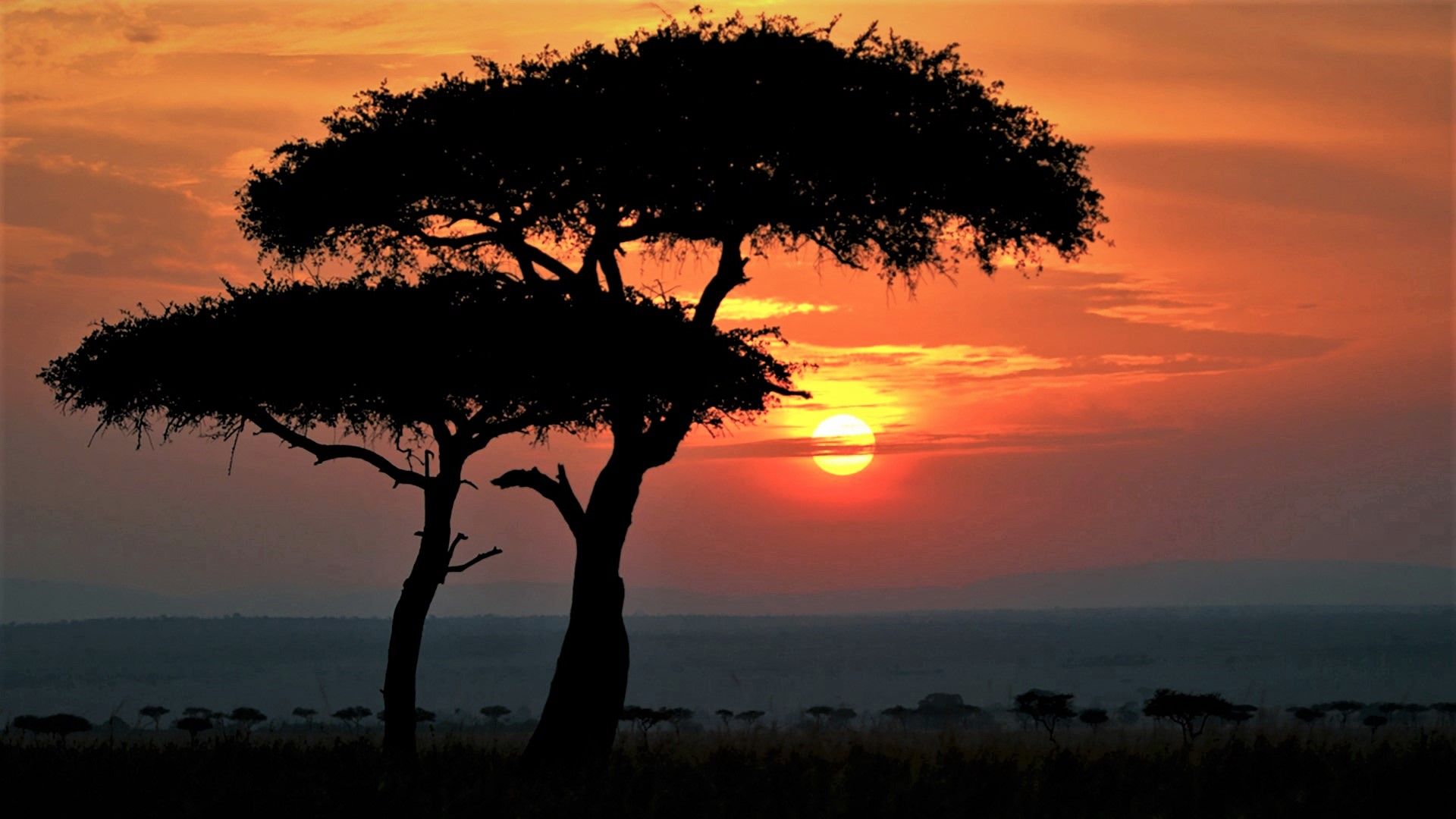 African Sunset Wallpaper Free African Sunset Background