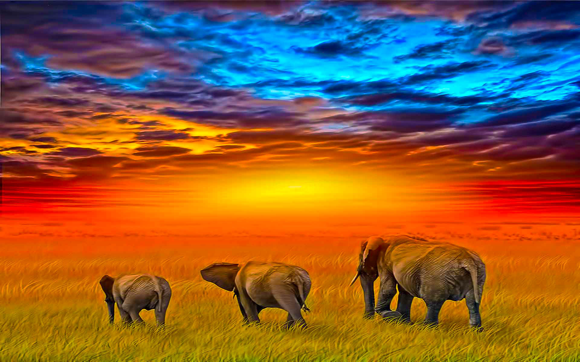 African Sunset Animales Elephants Art Wallpaper HD For Desktop, Wallpaper13.com