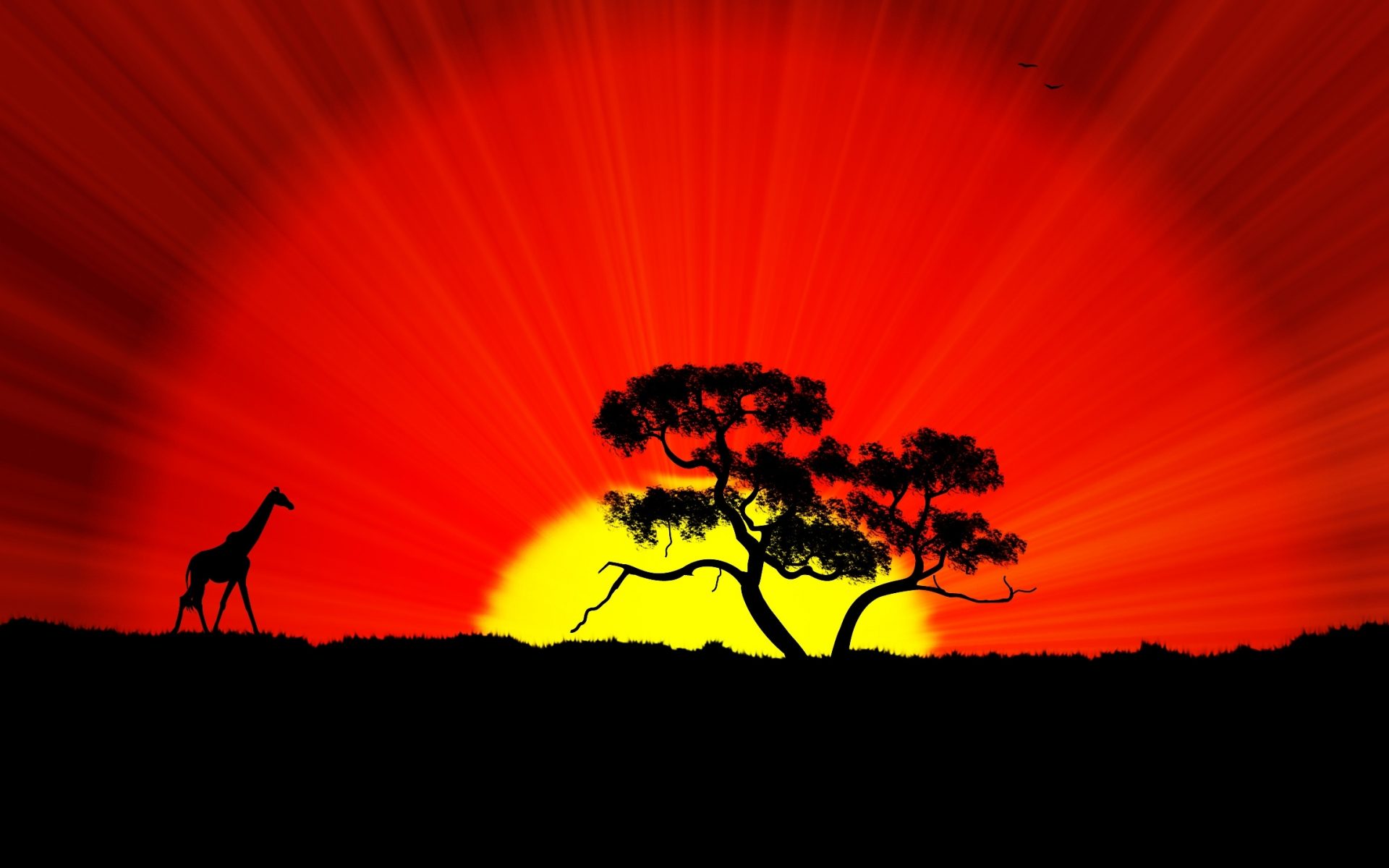 African Sunset Silhouette Giraffe Tree Crbeno Sky Sun With Gold Color HD Wallpaper, Wallpaper13.com