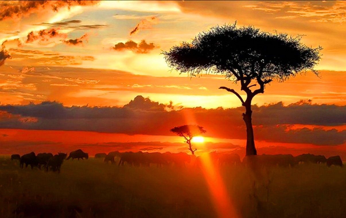 African Sunset Wallpaper Free African Sunset Background