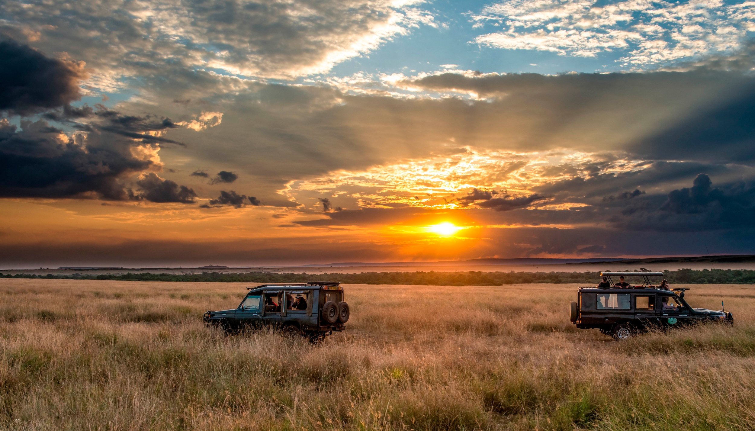 horizon, Sky, Safari, Africa, Sunset Wallpaper HD / Desktop and Mobile Background