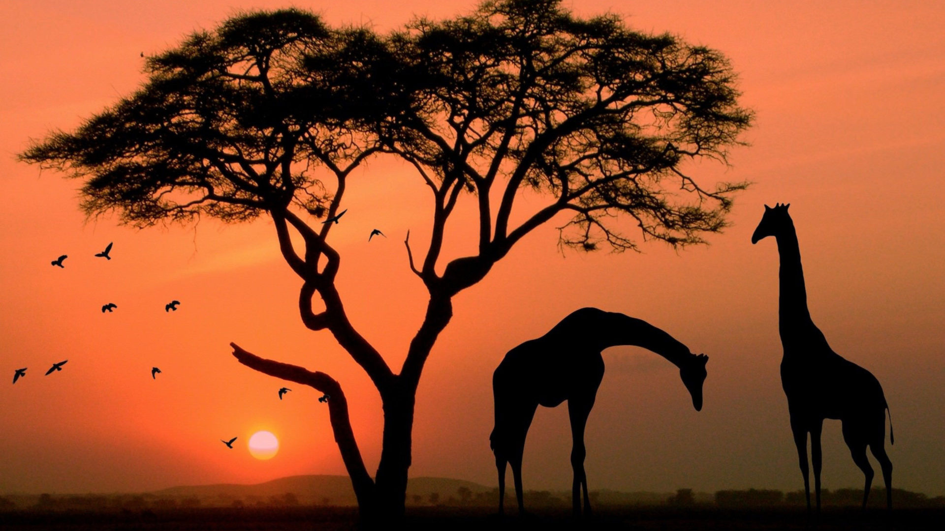 African Sunset Twilight Tree Red Sky Savannah Animals Birds Giraffe Rhino Nature Landscape Wallpaper For Desktop, Wallpaper13.com