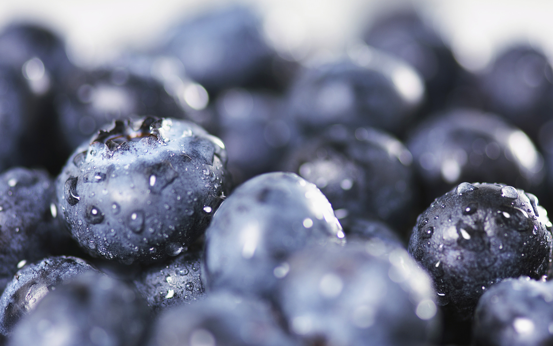 Fresh Fruit Wallpaper HD 44379 1920x1200px