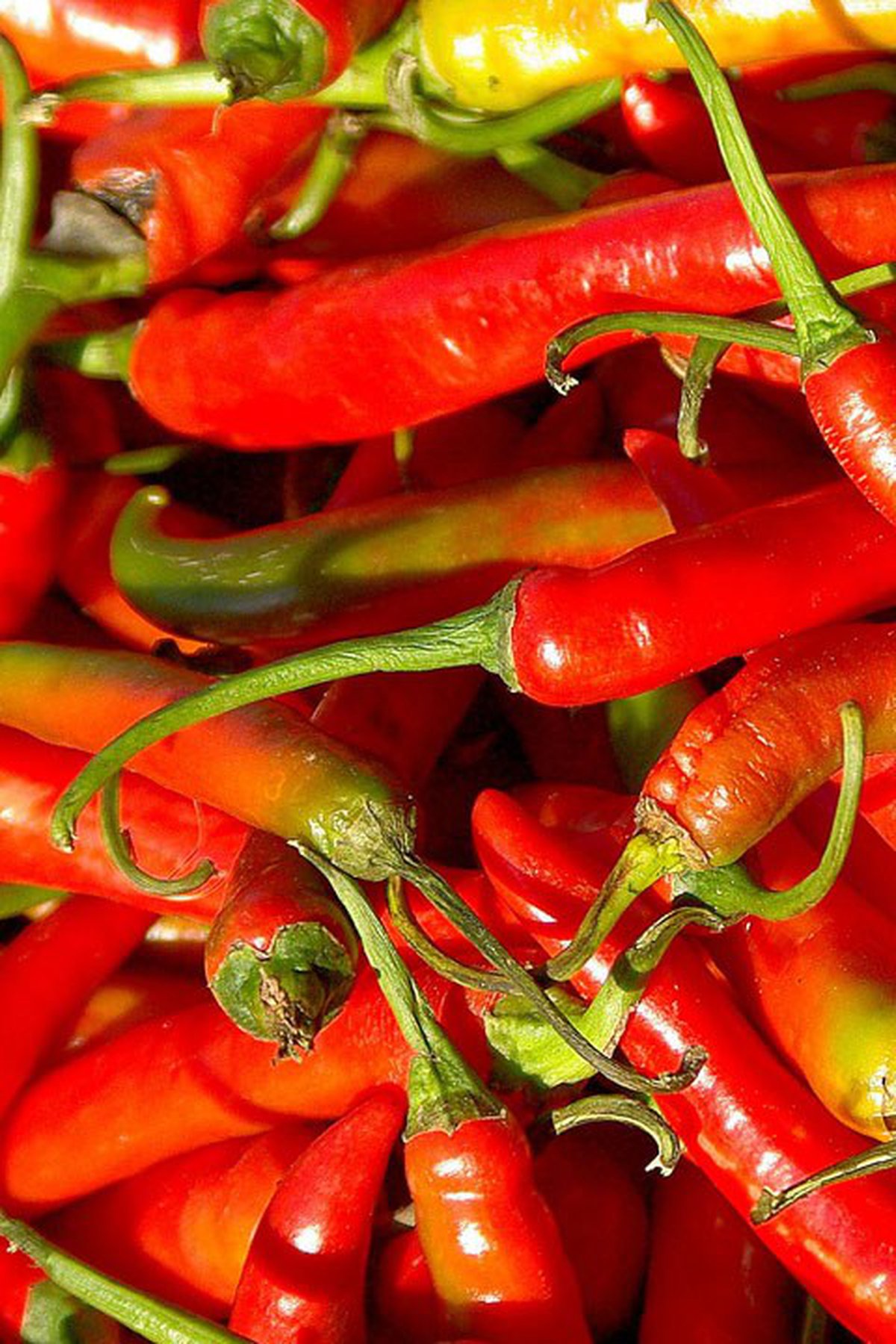 Doctors warn about dangers of spicy snacks for kids