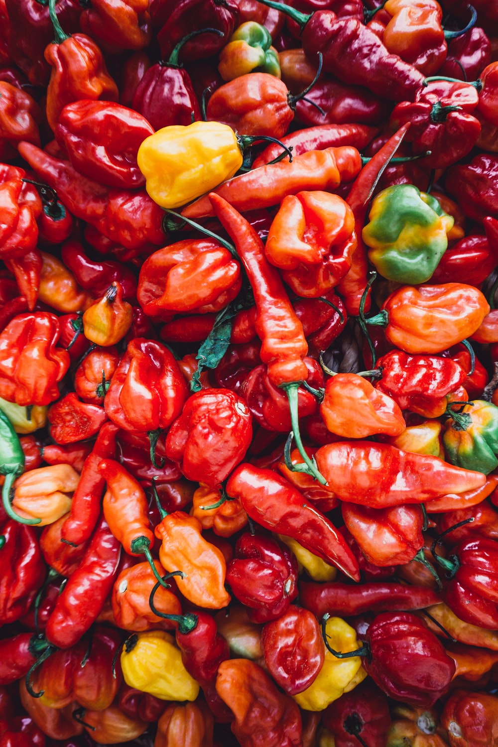 Spicy Food Picture [HD]. Download Free Image