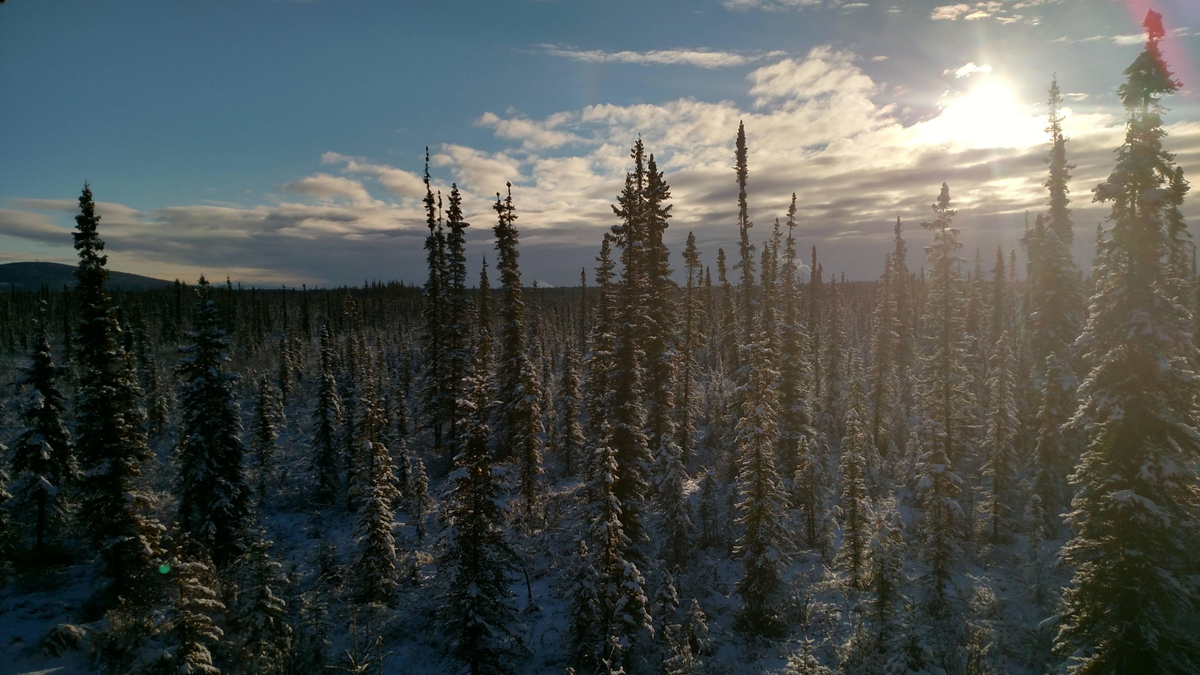 Fairbanks 4K wallpaper for your desktop or mobile screen free and easy to download