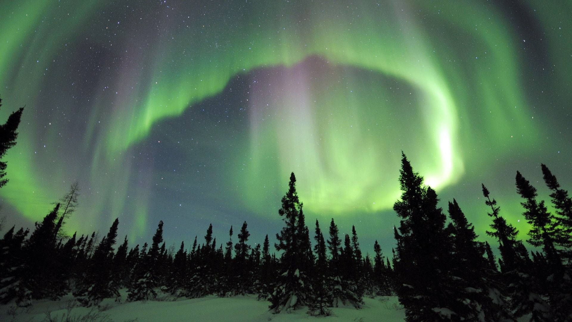 Aurora Viewing Tour Fairbanks. Alaska Northern Lights (NL). The Northern Lights. Winter T. Alaska northern lights, See the northern lights, Northern lights