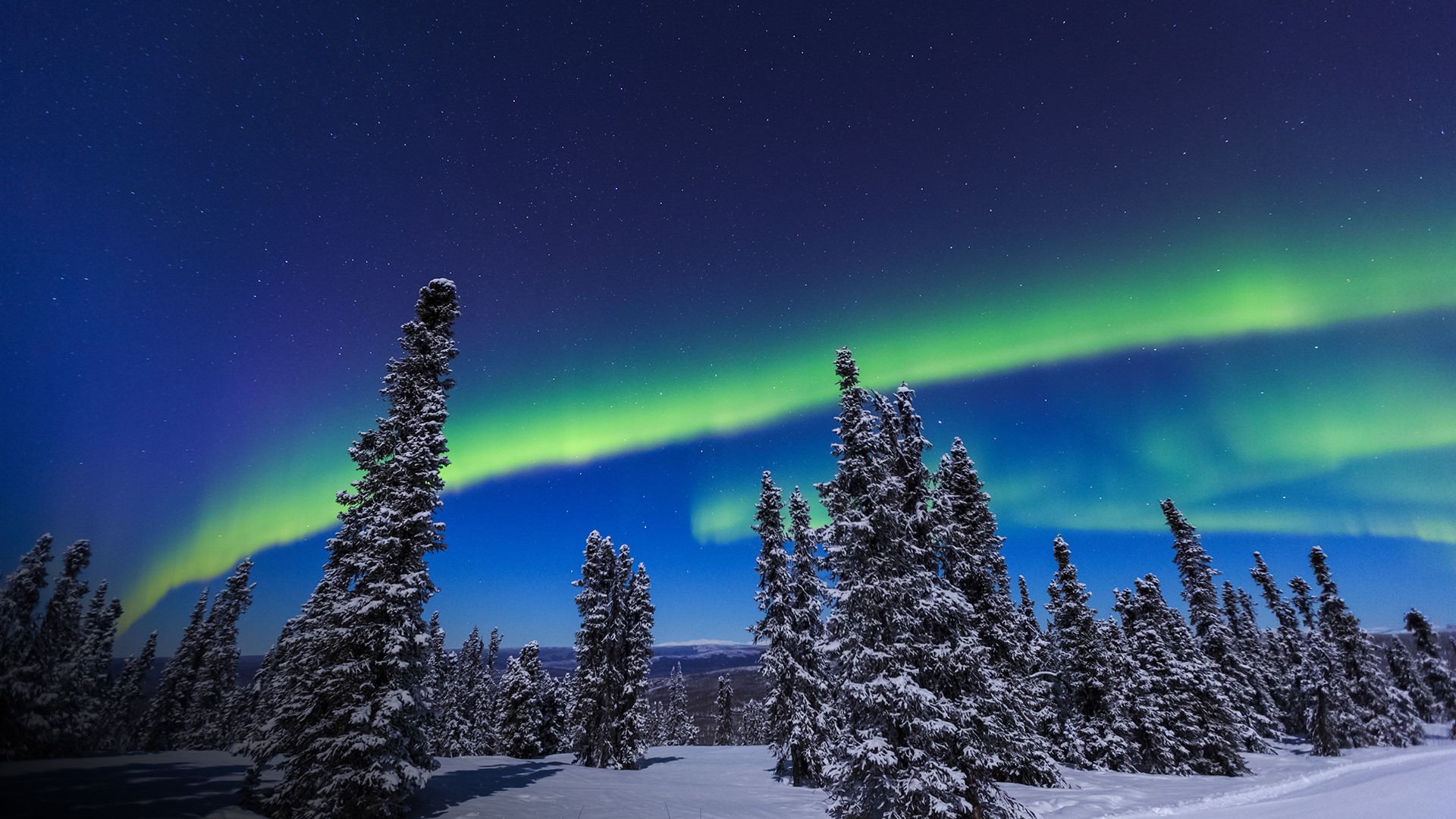 Aurora borealis, Northern Lights above tent lit up with lantern, Chena Resort, Fairbanks, Alaska, USA. Windows 10 Spotlight Image
