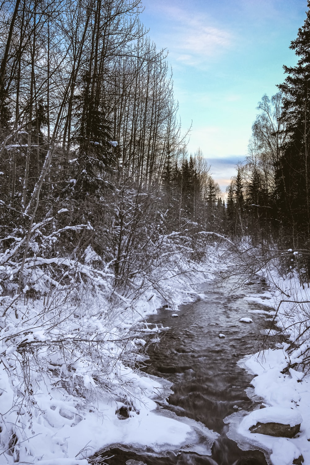 Fairbanks Picture. Download Free Image