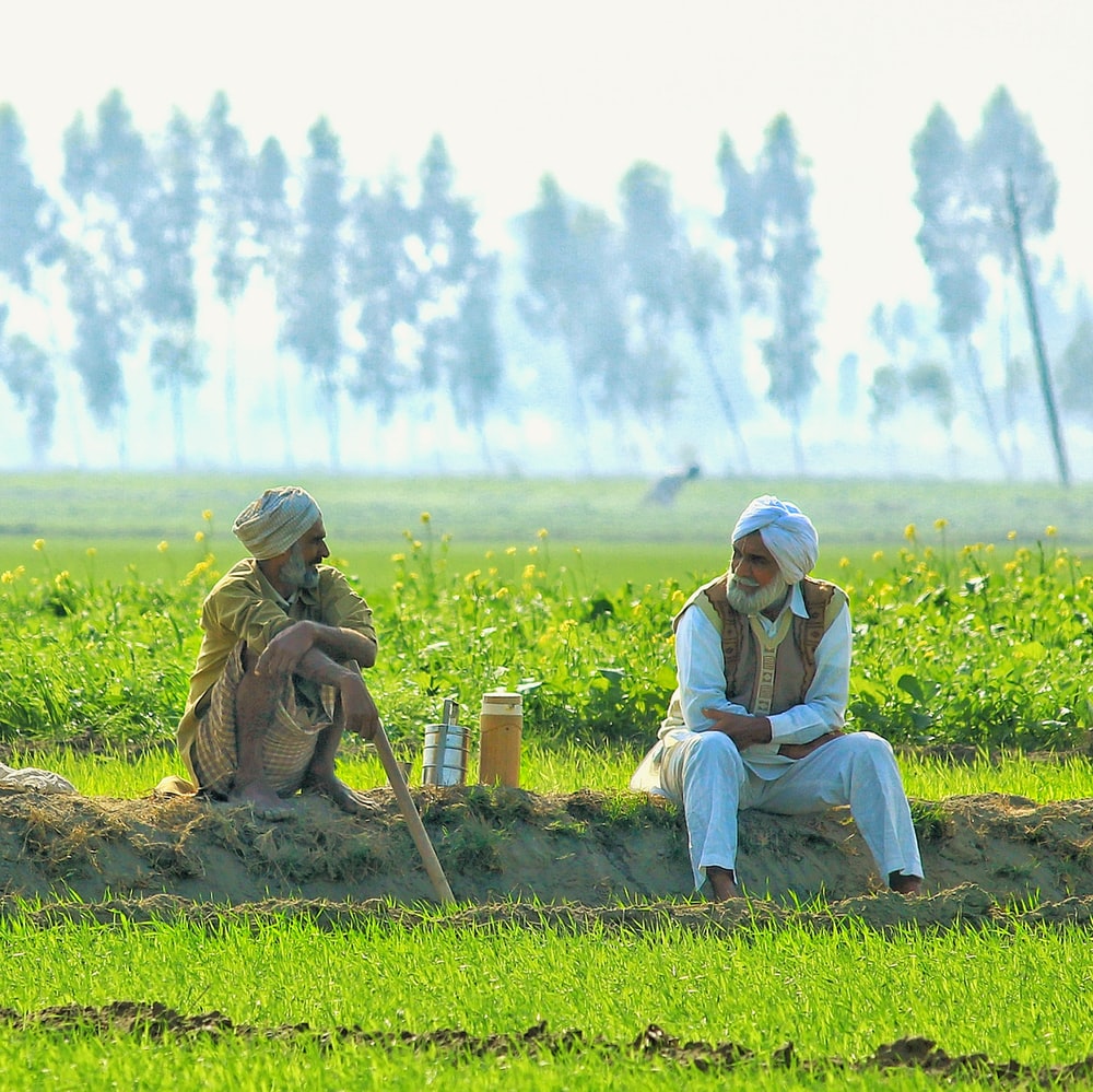 Indian Agriculture Picture. Download Free Image