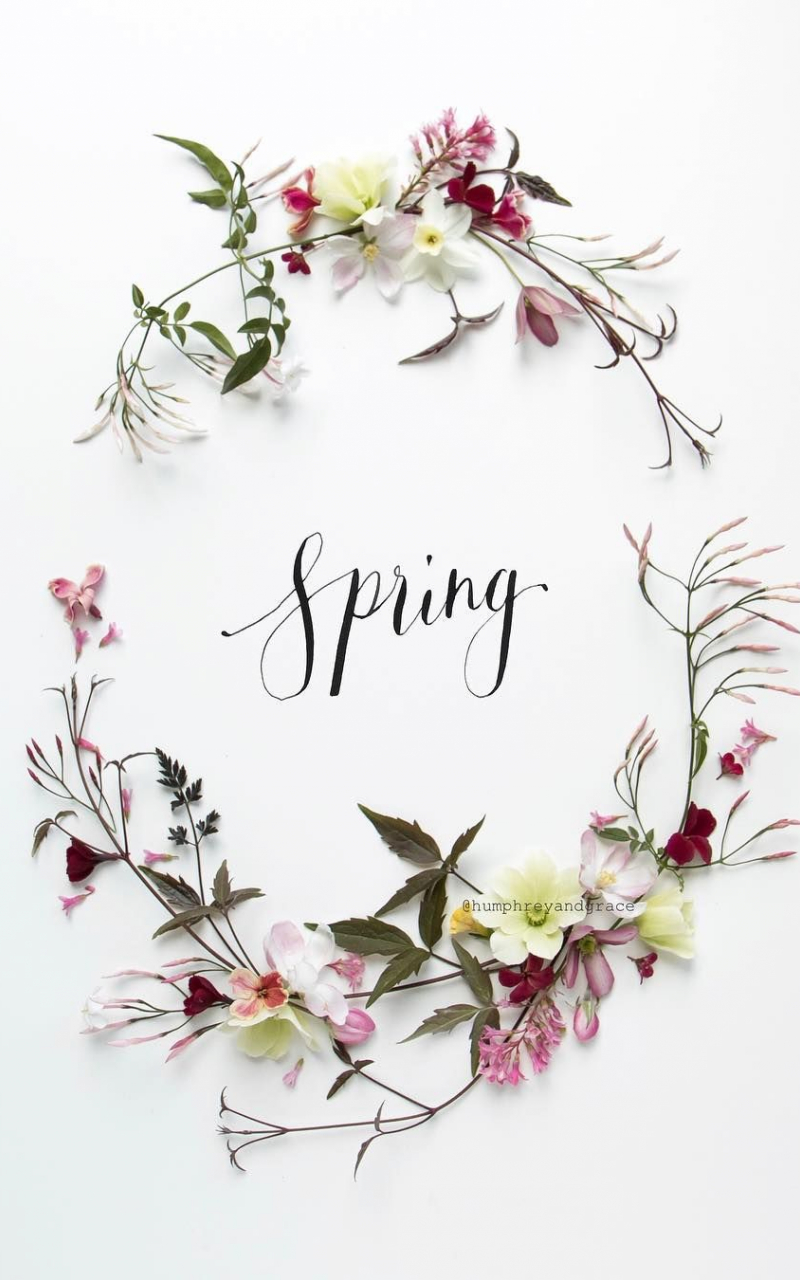 Aesthetic Spring Wallpaper