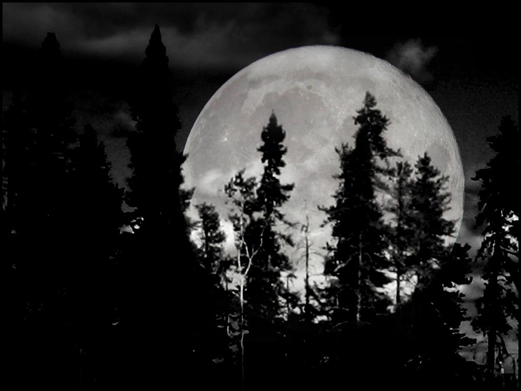Store Photo, Black And White Moon, Full Mob
