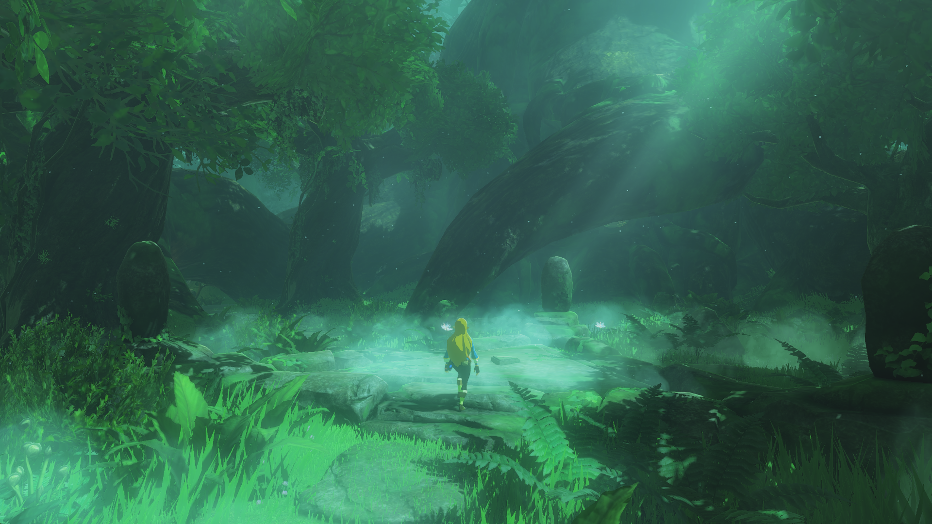Zelda In Korok Forest Wallpaper 1080p, R Breath_of_the_Wild