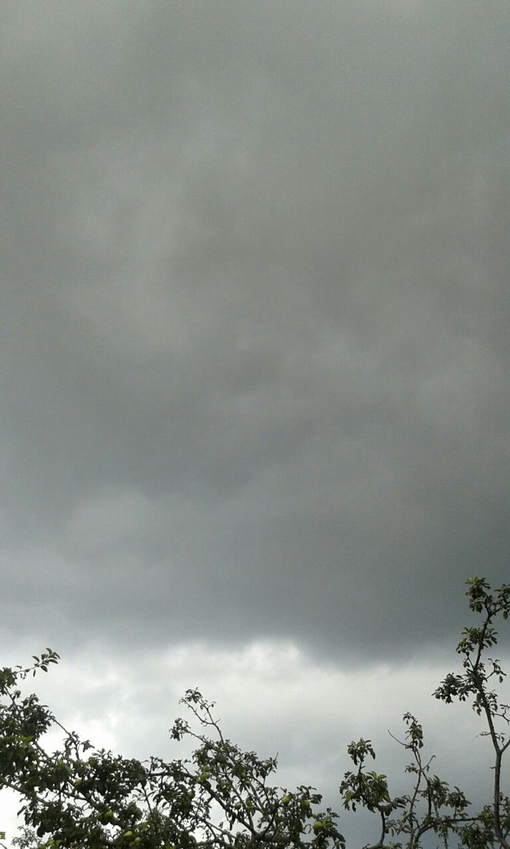Cloudy sky, clouds, rain, rainy, storm, trees, leaves, grey, grey clouds. Rainy sky, Clouds, Night sky wallpaper
