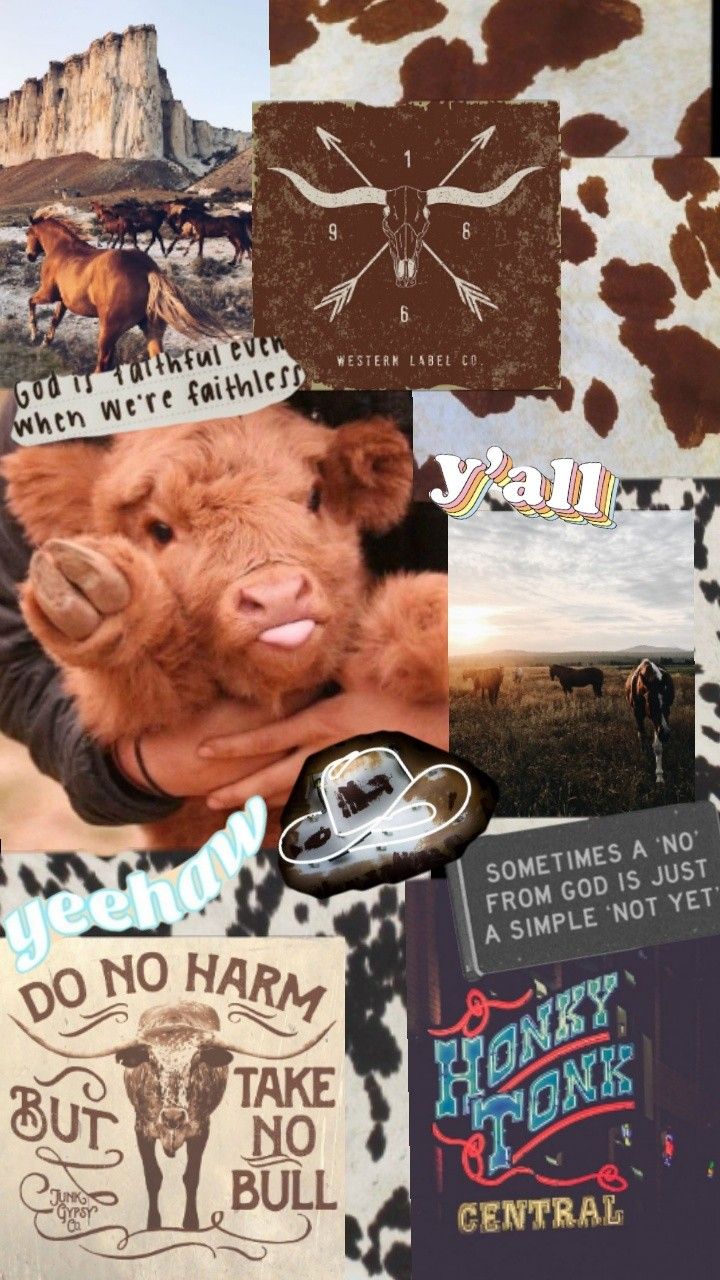 Country aesthetic wallpaper