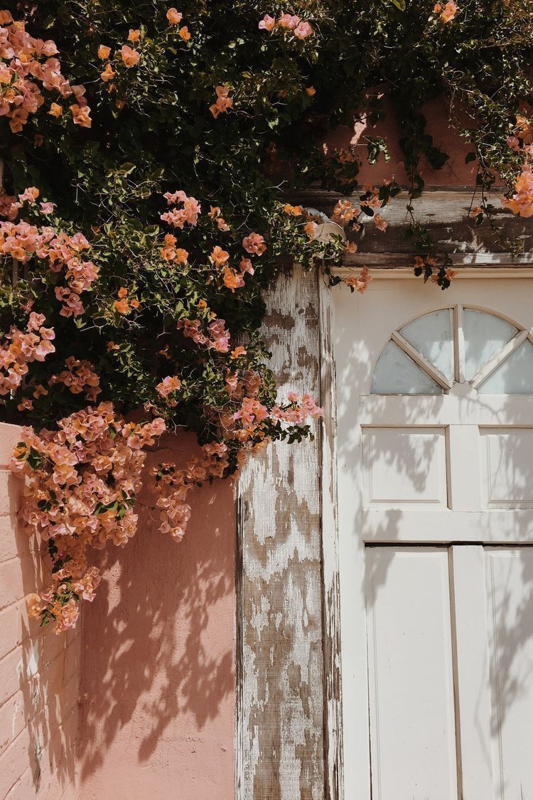 Blush Aesthetic Wallpapers - Wallpaper Cave