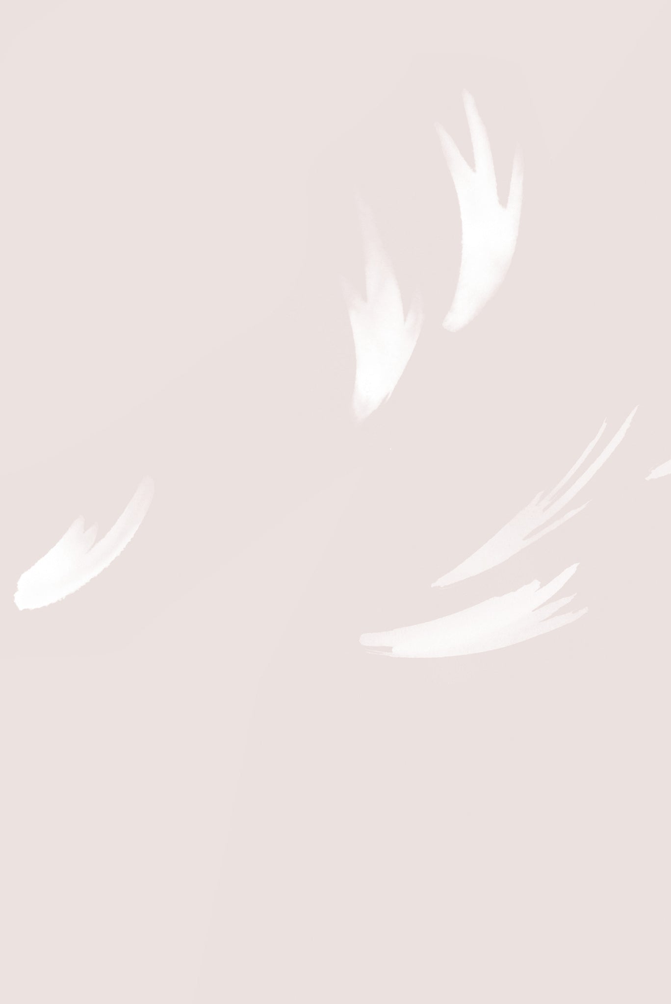 Falling Feather Blush Wallpaper