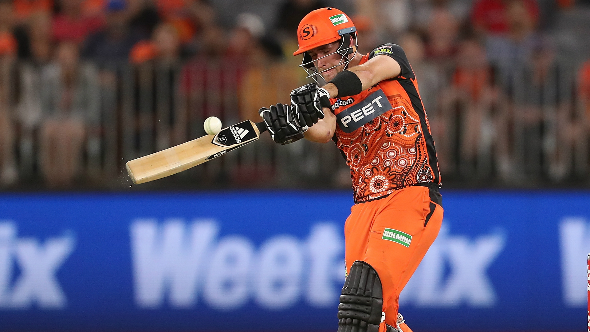 Livingstone answers Hales as Perth Scorchers move above Sydney Thunder