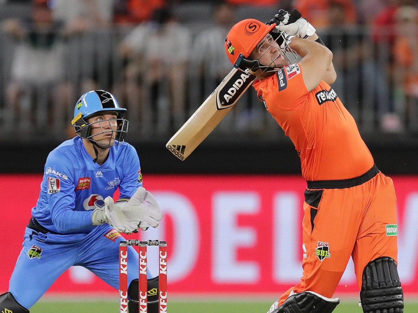 IPL 2021: Tim David, Liam Livingstone, Nathan Ellis.Here are Few Unknowns Who Can Become Stars