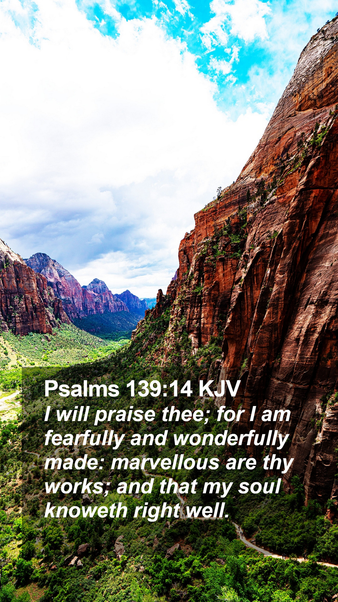 Psalms 139:14 KJV Mobile Phone Wallpaper will praise thee; for I am fearfully and