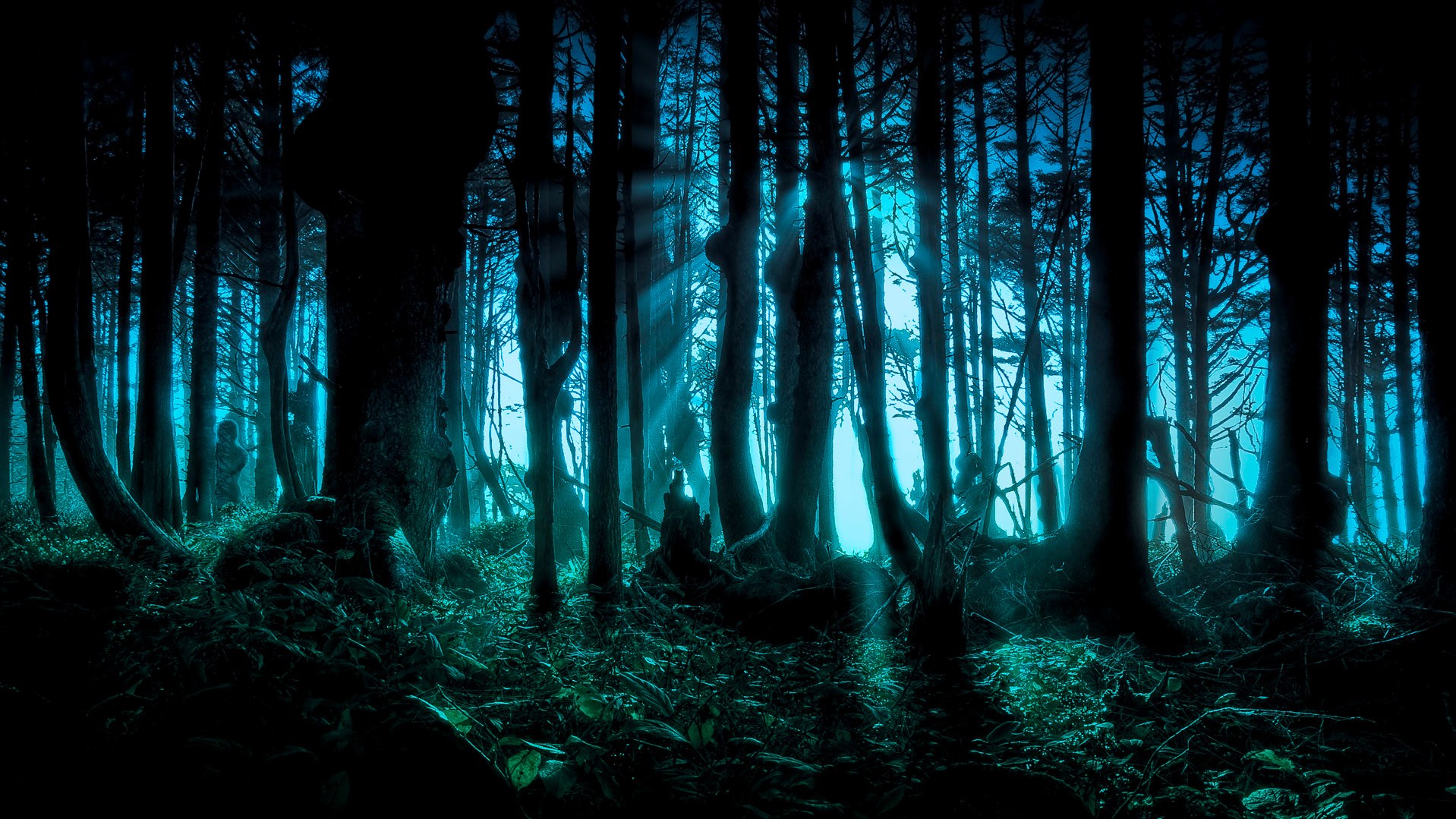 Fantasy Forest Wallpaper and Background Imagex1079