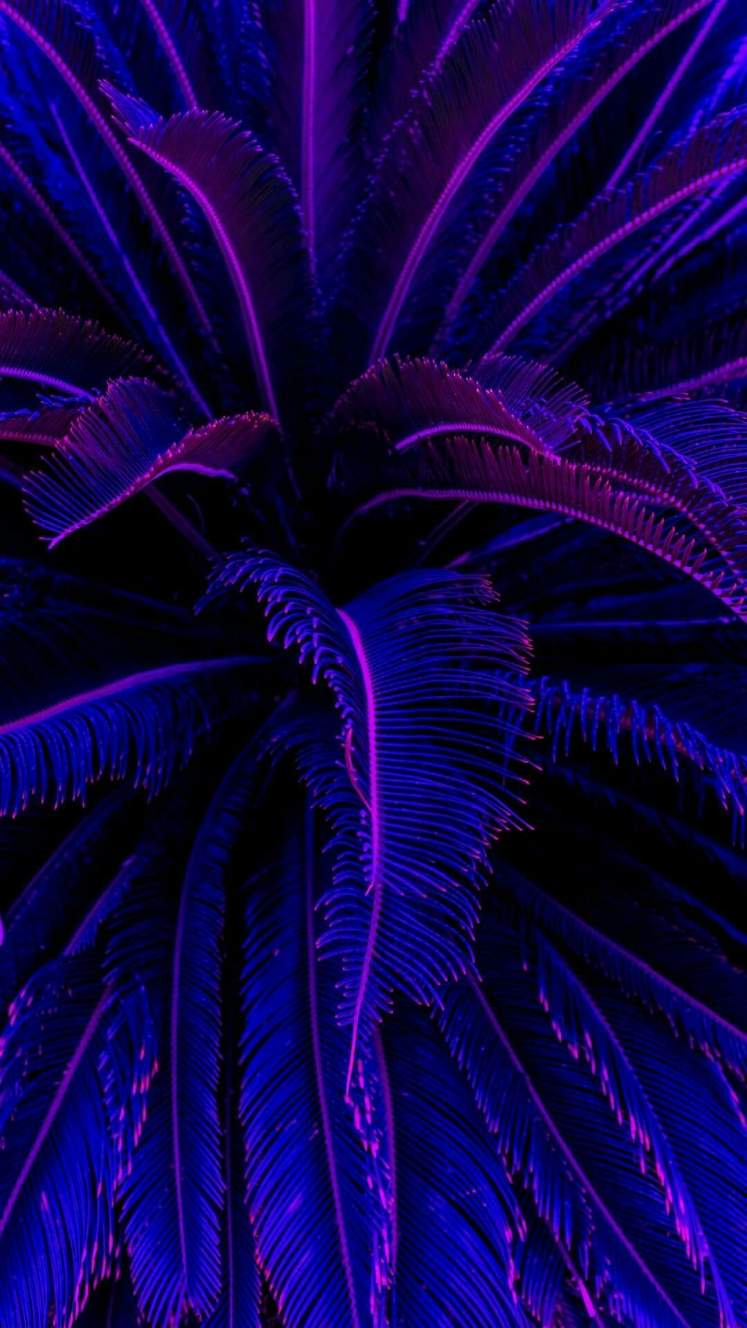 Neon Blue Aesthetic Wallpaper