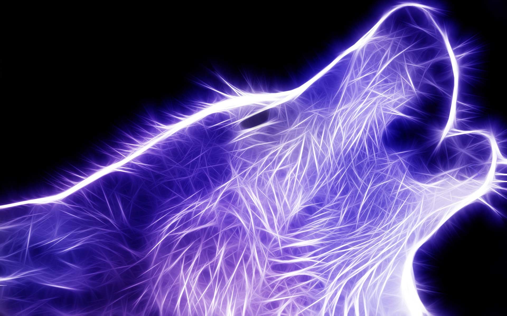 fire wolf wallpaper, electric blue, purple, water, organism, lightning