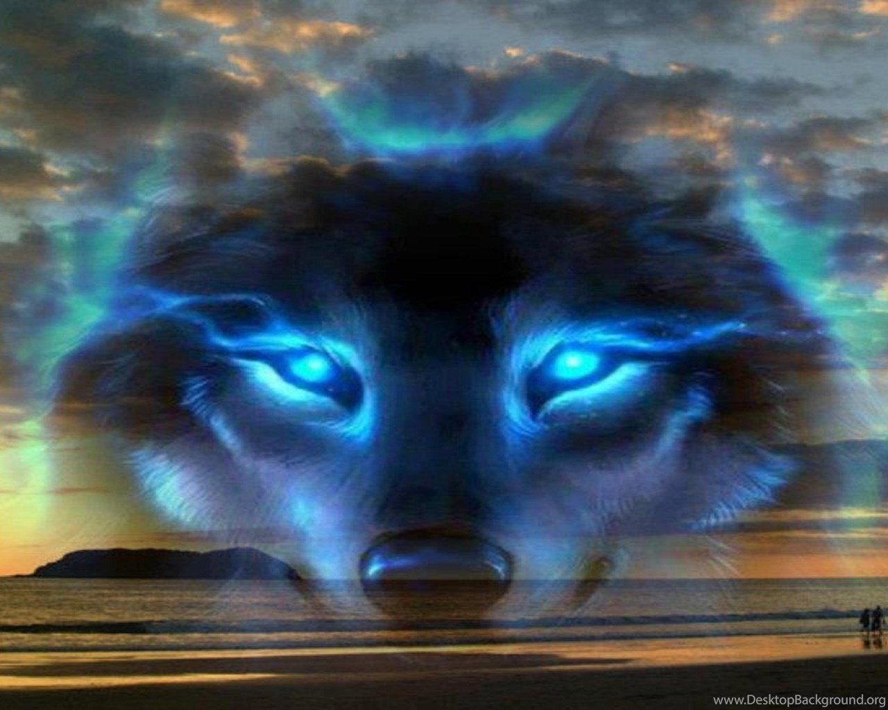 BLUE WOLF WALLPAPER Desktop Background