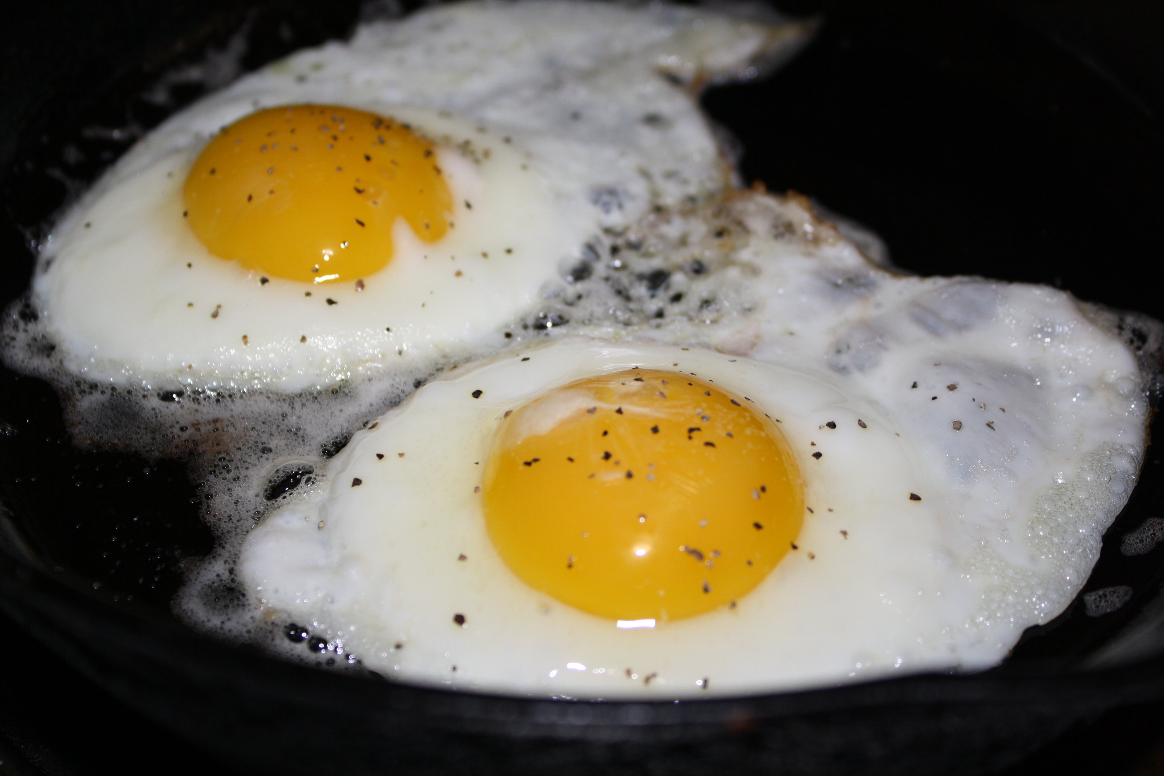 Fried Eggs Picture. Free Photograph. Photo Public Domain