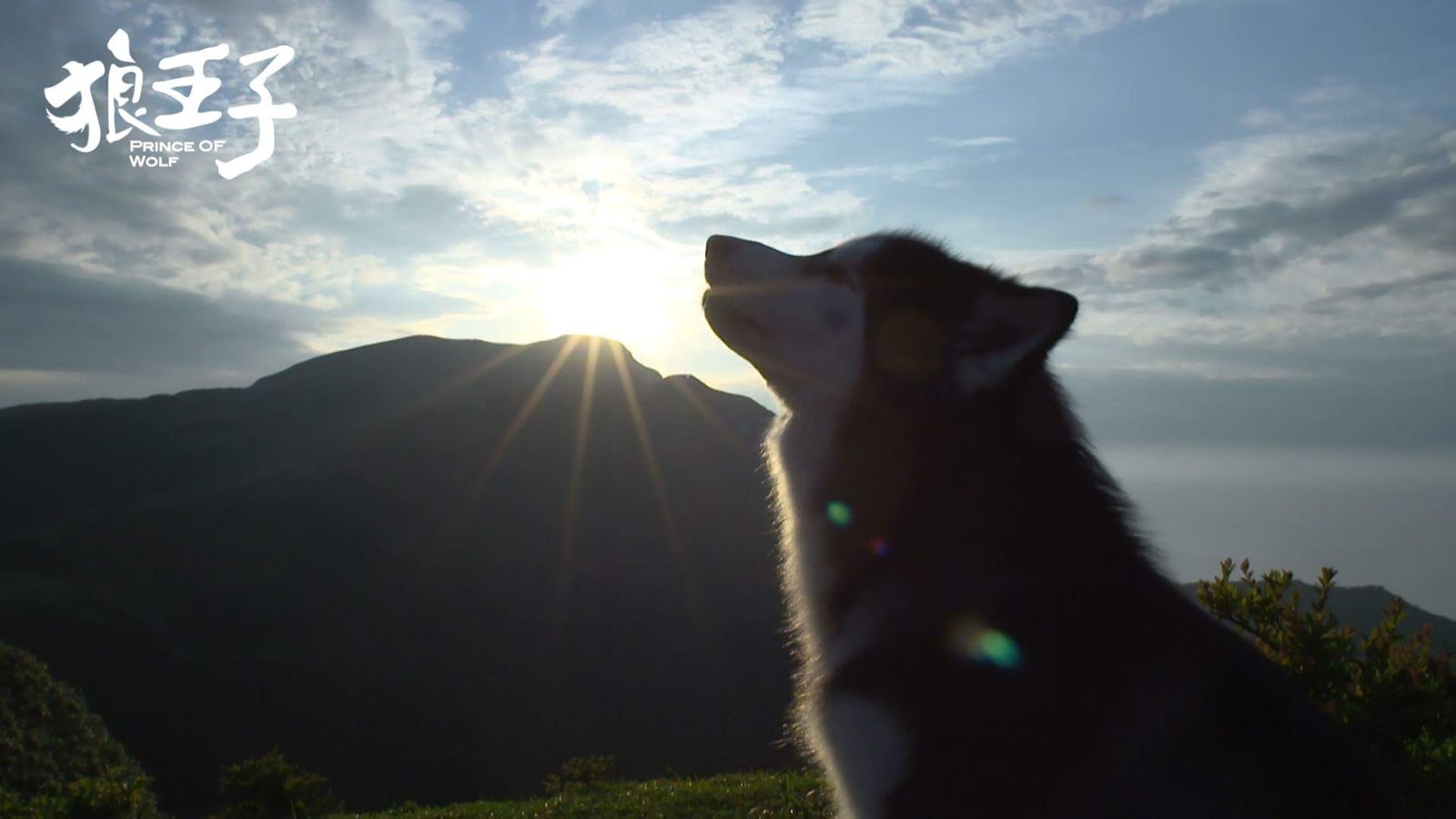 It's a small world: Prince of Wolf