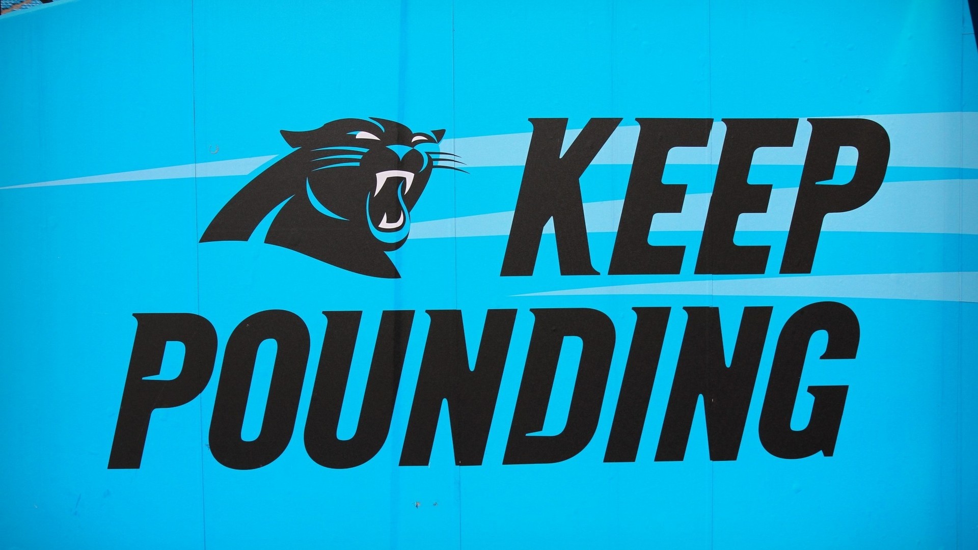 Carolina Panthers Desktop Wallpaper NFL Football Wallpaper