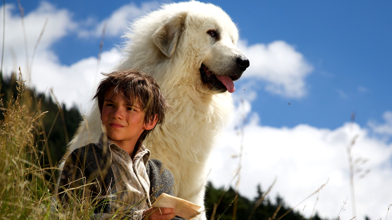 Belle & Sebastian: The Adventure Continues