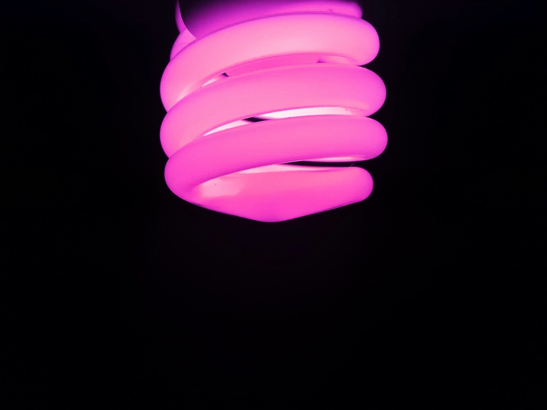purple LED bulb #neon #purple #pink #simple black background light bulb P #wallpaper #hdwallpape. Black and purple wallpaper, Light bulb logo, Neon wallpaper