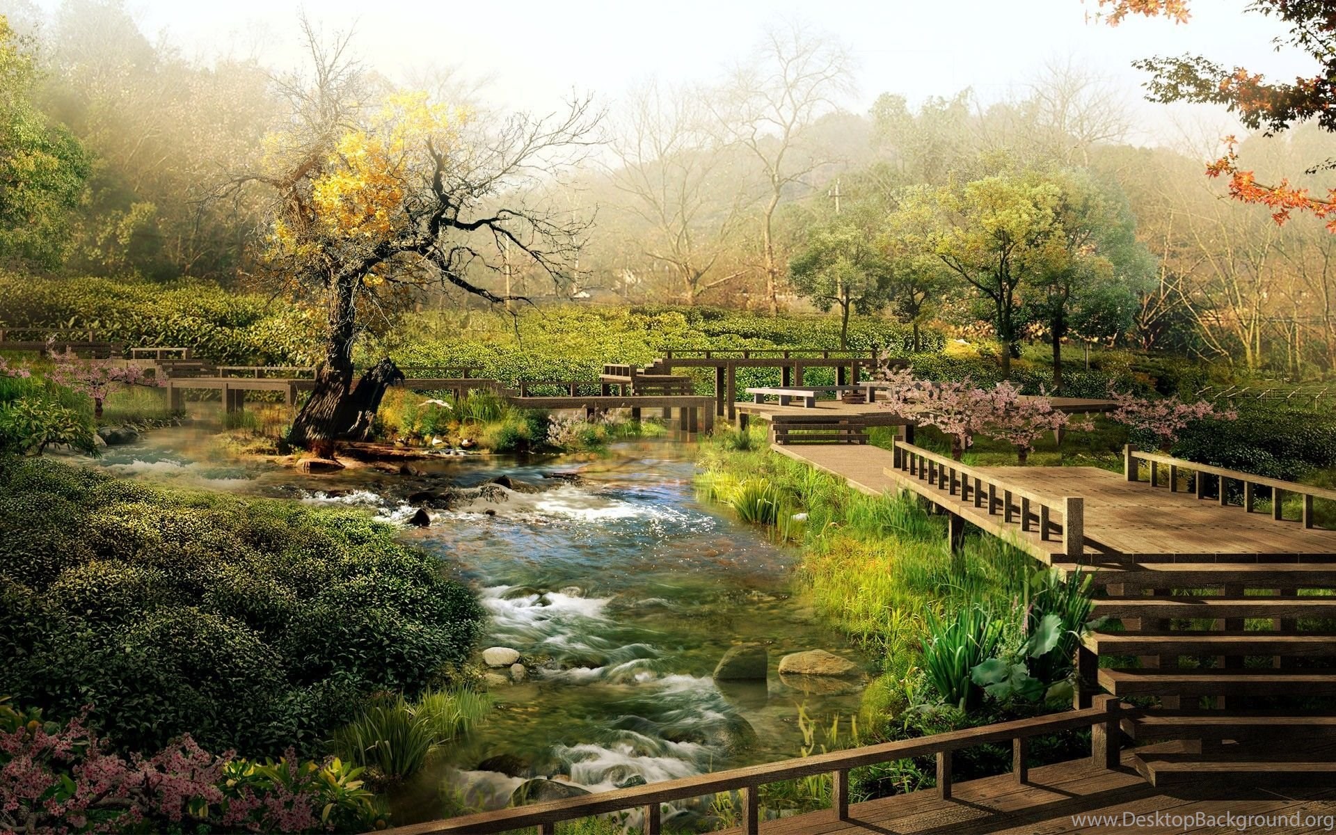 Amazing Park Nature Landscape Wallpaper HD Desktop Background