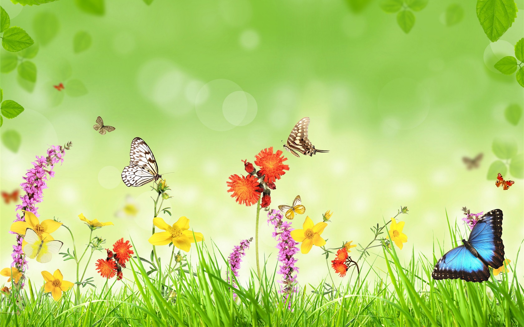 Wallpaper Spring, flowers, grass, butterfly, green background, creative design 3840x2160 UHD 4K Picture, Image