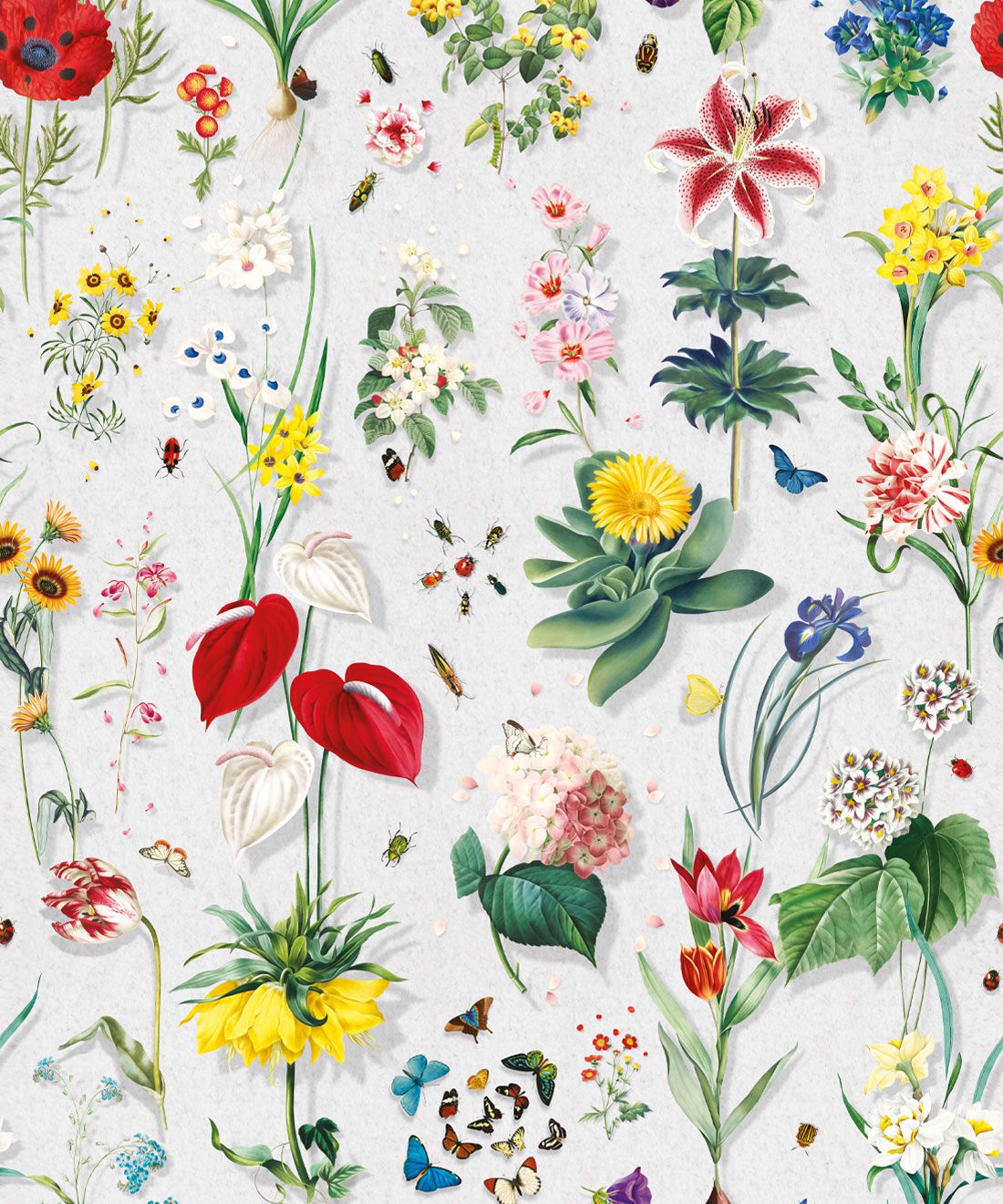 Jolie Wallpaper • Colorful Spring Floral Wallpaper USA