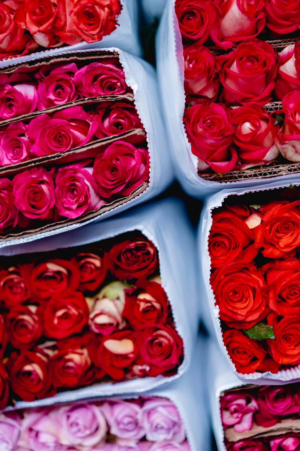 Aesthetic Valentine's Day Wallpaper Beauty May