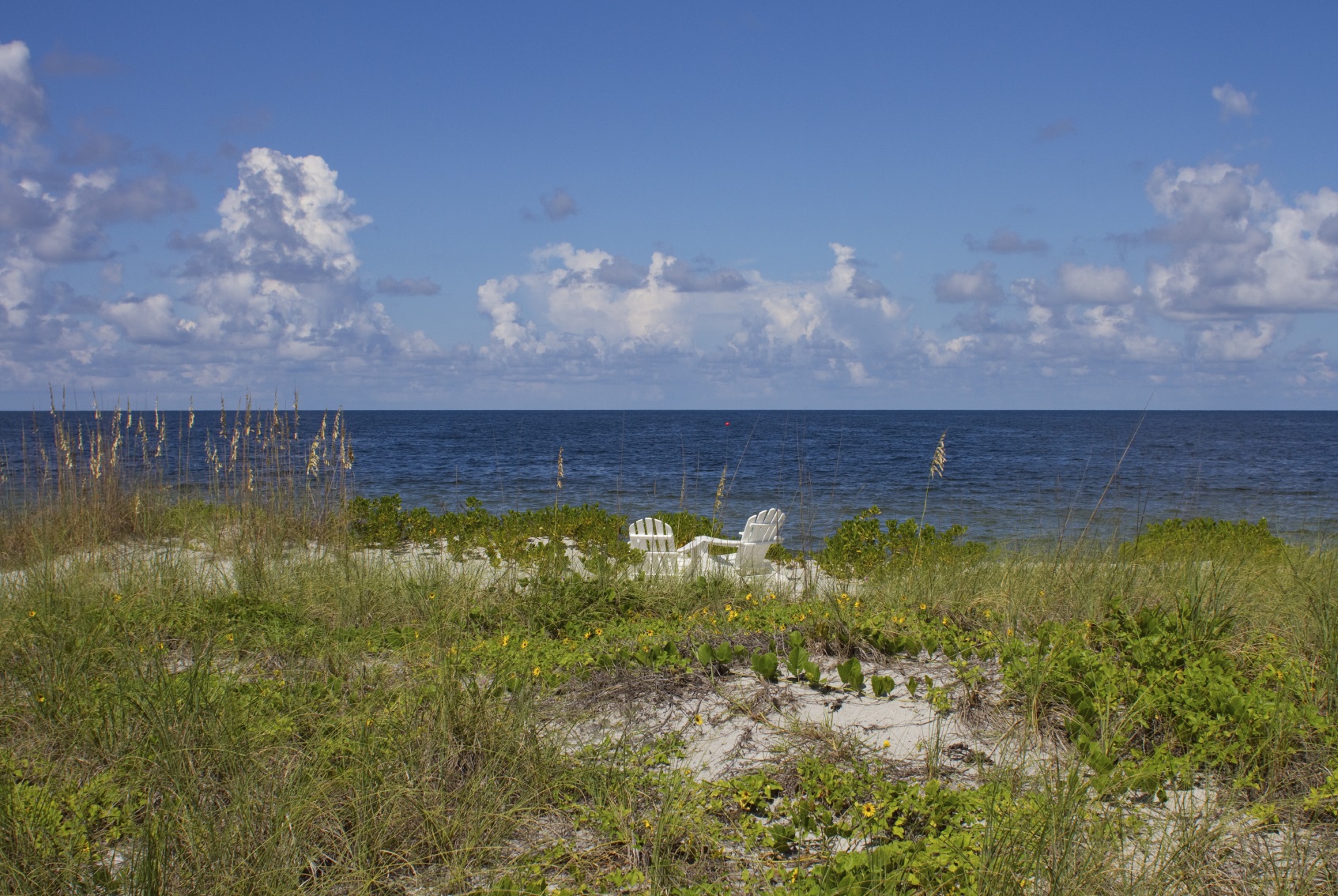 Best Places to Take Picture on Sanibel Island