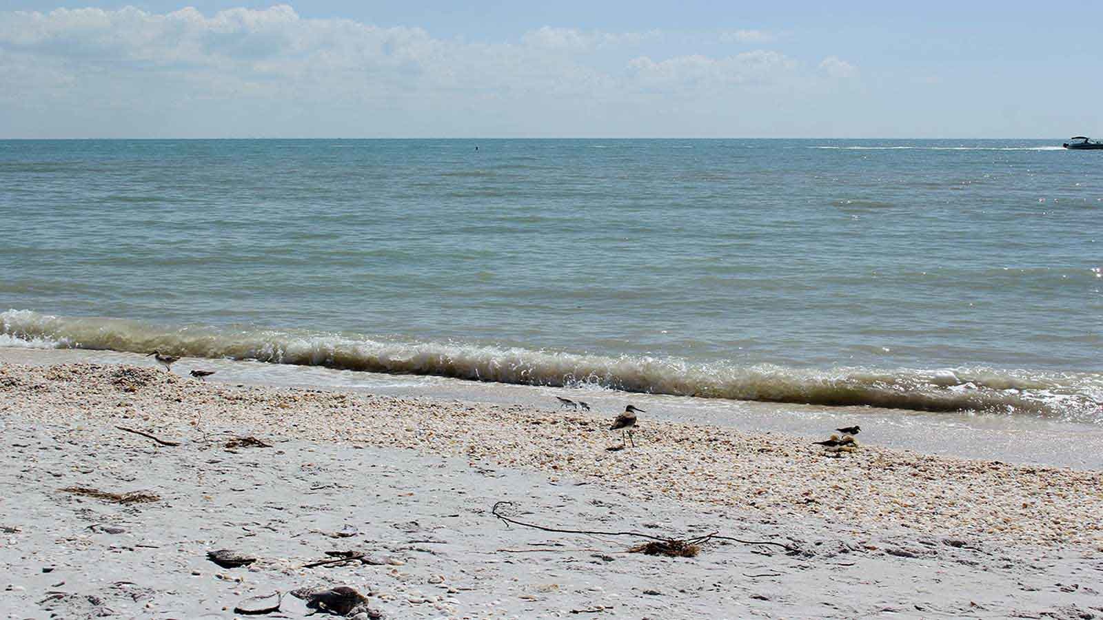 Sanibel Island Wallpapers - Wallpaper Cave