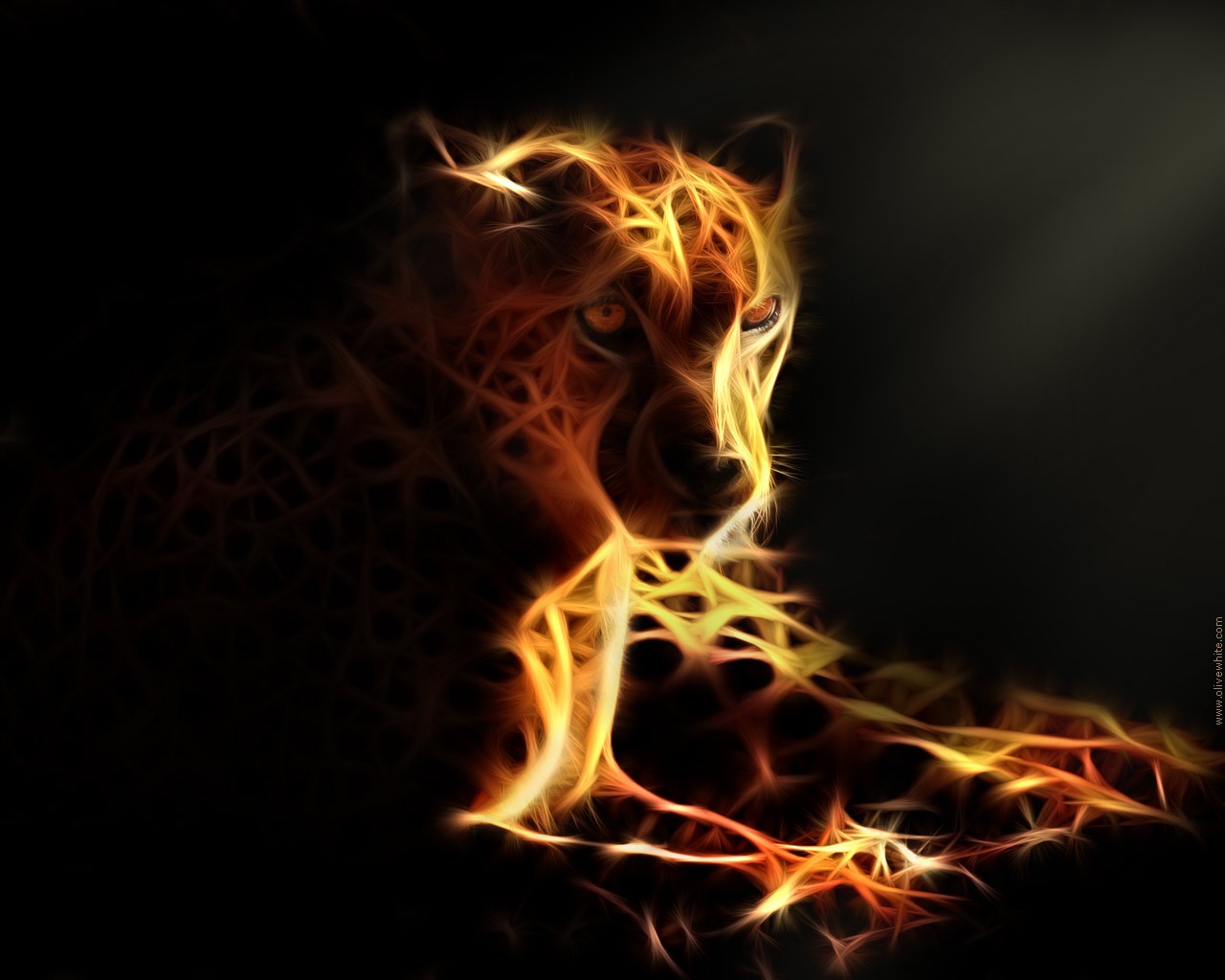 Title Animal Cheetah Cats Wallpaper Fire Png HD Wallpaper