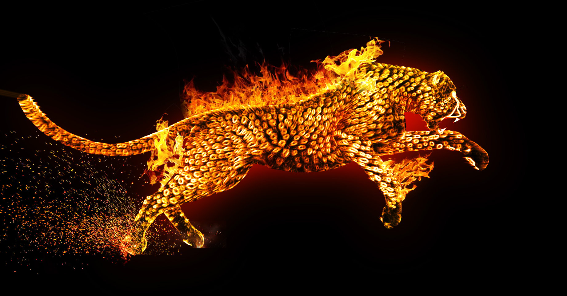 Fire Cheetah Wallpapers - Wallpaper Cave