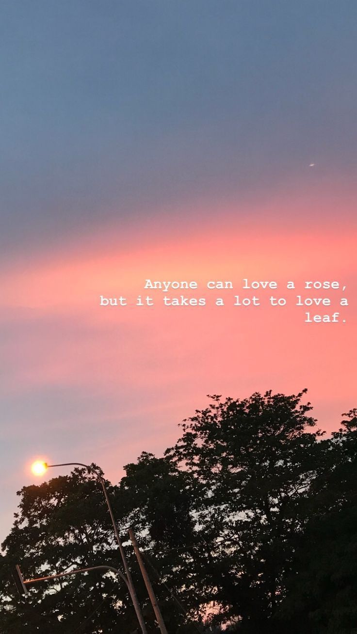 ❤️IM❤️. Sky quotes, Sunset quotes, Instagram quotes