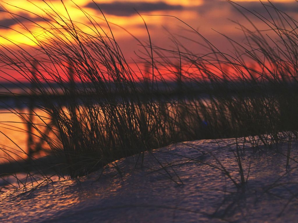 Beach Grass Against the Winter Sunset on Lake Michigan wallpaper in 1024x768 resolution